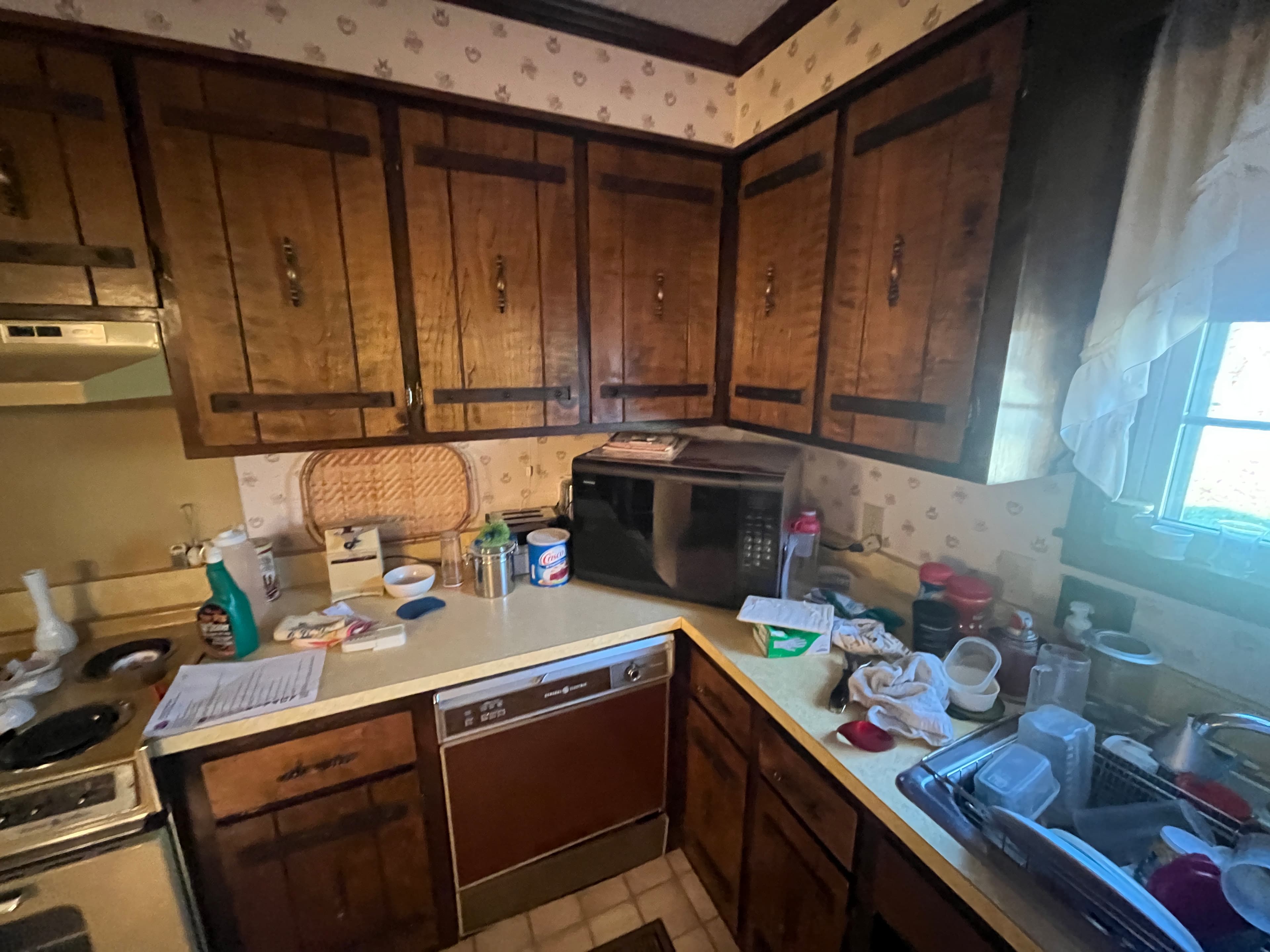 Whole Kitchen Renovation — before