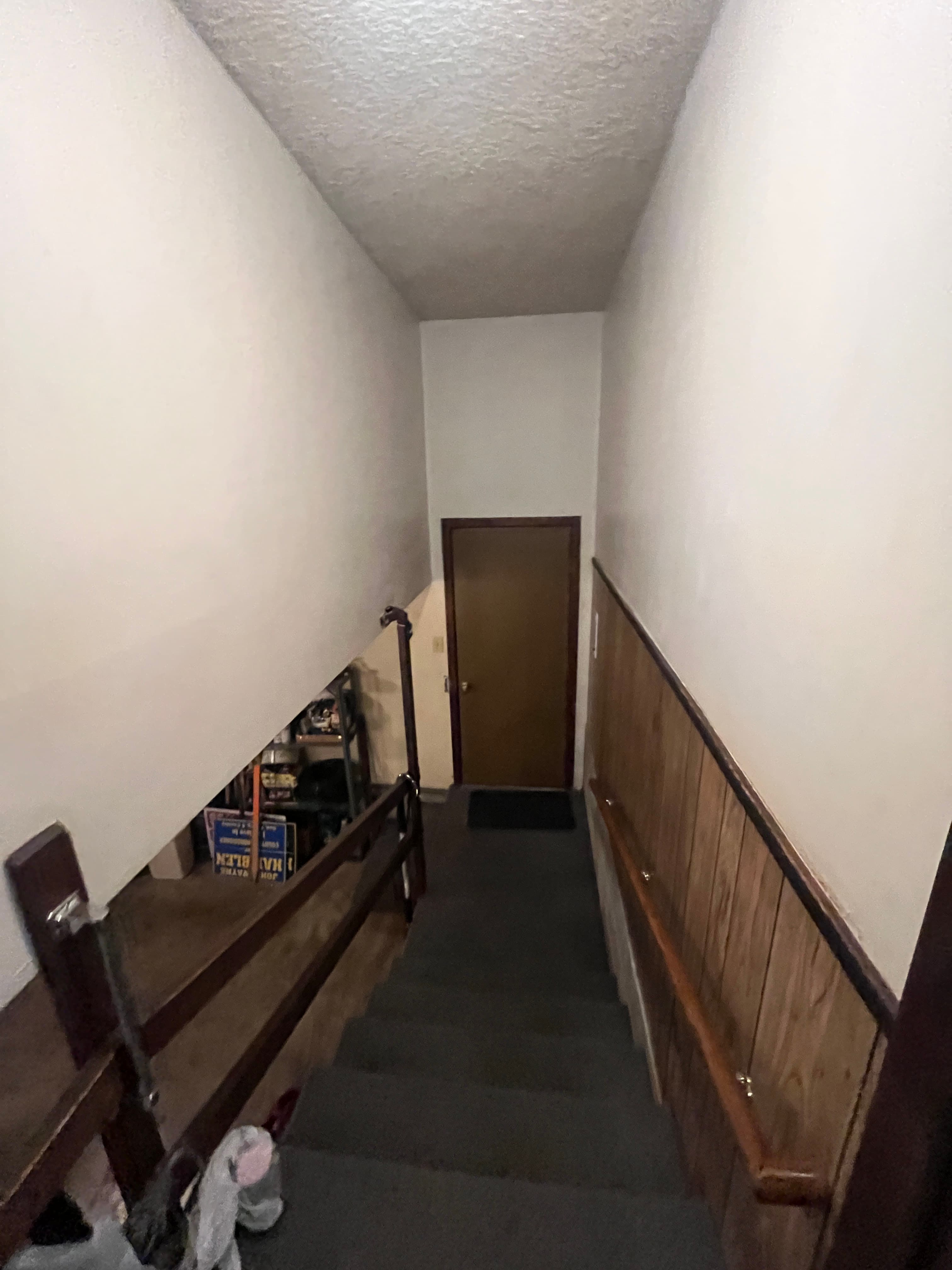 Basement Finish — before