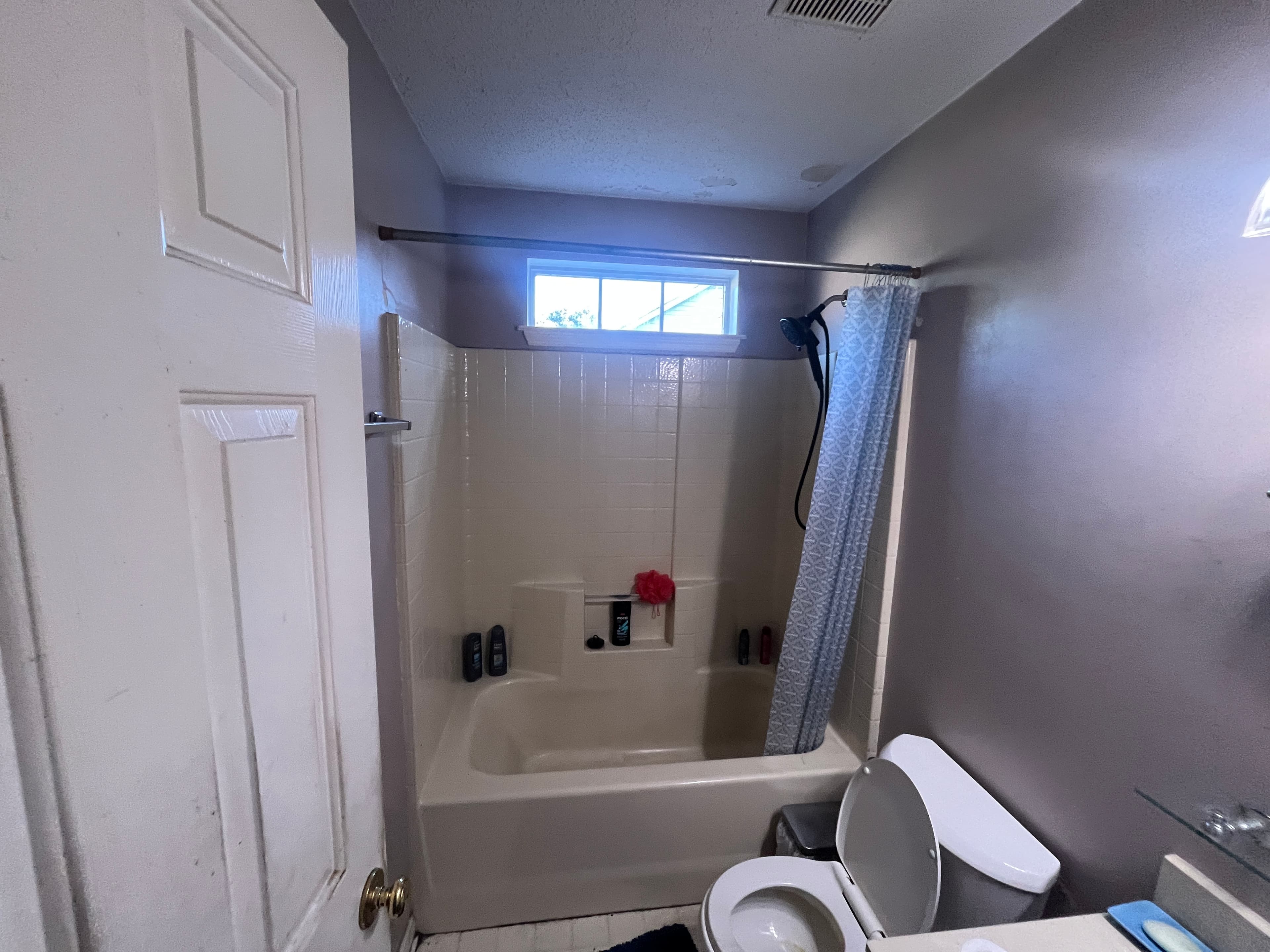 Hall Bathroom Renovation — before